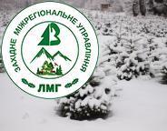 НА ЛЬВІВЩИНІ РОЗПОЧАЛАСЯ ЯЛИНКОВА КАМПАНІЯ