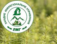 Головний пріоритет – якісне лісовідновлення Карпат