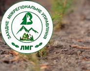 «Зелена країна»: висаджено 11,8 млн дерев