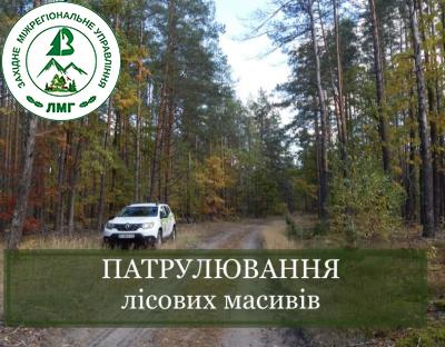 Патрулювання лісових масивів: результати роботи за місяць