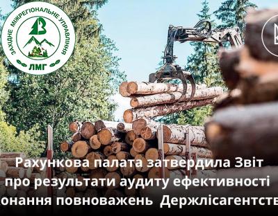 На засіданні Рахункової палати затвердили Звіт про результати аудиту ефективності виконання повноважень Держлісагентством