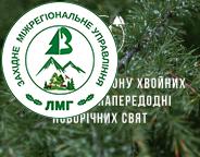 В Україні стартувала ялинкова кампанія!