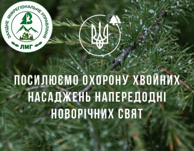 В Україні стартувала ялинкова кампанія!