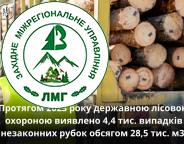 У 2023 році державною лісовою охороною виявлено 4,4 тис. випадків незаконних рубок обсягом 28,5 тис. м3