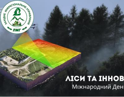 Ліси та інновації: нові рішення задля покращення світу!