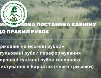 Уряд прийняв важливе рішення, яке суттєво вплине на ведення лісового господарства в Україні