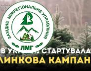 В Україні розпочалася щорічна ялинкова кампанія
