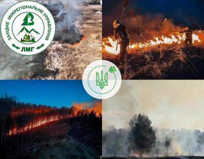 Спалювання сухостою під час дії воєнного стану в Україні може бути прирівняне до диверсій!