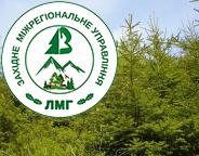 Площа лісів зростатиме