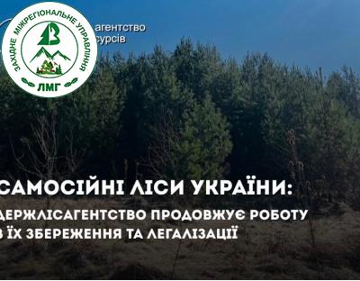 У Держлісагентстві триває системна робота зі збереження самосійних лісів