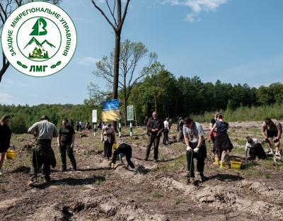  Примножуємо ліси Карпатського регіону