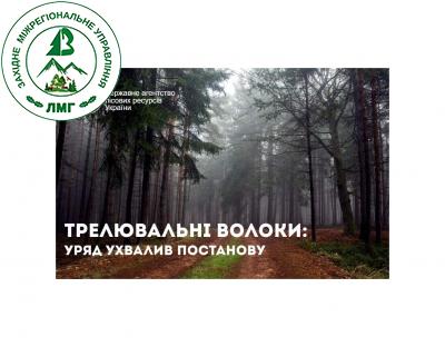 Зміни до спеціального використання лісових ресурсів: постанова уряду