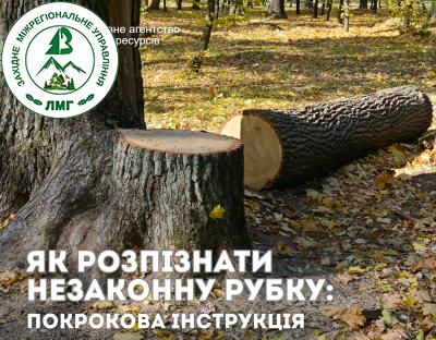  Як розпізнати незаконну рубку лісу: покрокова інструкція