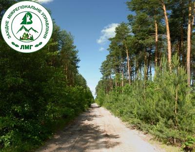 ТРИВАЮТЬ РЕЙДИ З ОХОРОНИ ЛІСІВ