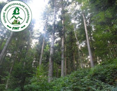 Повідомлення про проведення ІІ лісовпорядної наради з розгляду змін до матеріалів лісовпорядкування  на підставі актуалізованих матеріалів лісовпорядкування ДП «Ужгородське військове лісництво» 
