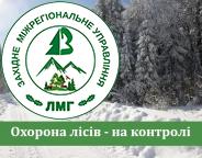 Охорона лісів – на контролі