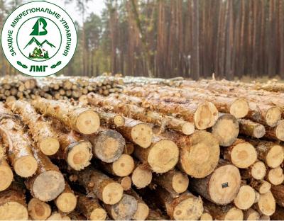 Держлісагентство: Експорт продукції з нелегальної деревини заблоковано!