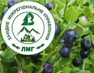 Збір грибів і ягід – що потрібно знати