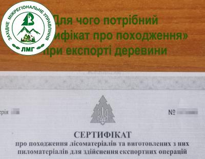 Для чого потрібний «Сертифікат про походження» при експорті деревини 