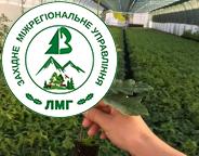  Лісокультурна кампанія 2024: лісівники висадять понад 16 млн дерев