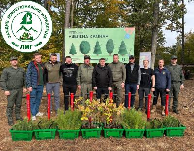 Зелена країна: зростатиме молодий ліс